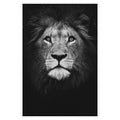 Animal Canvas Wall Art - Centennial