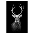 Animal Canvas Wall Art - Centennial