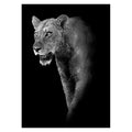 Animal Canvas Wall Art - Centennial