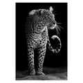 Animal Canvas Wall Art - Centennial