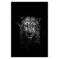 Animal Canvas Wall Art - Centennial