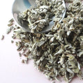 White Sage Natural Purifying Incense - Centennial