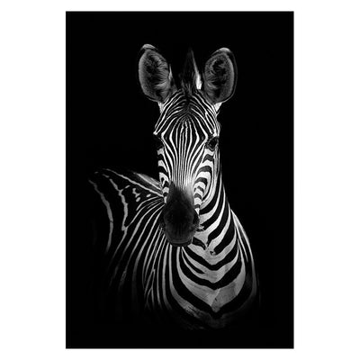 Animal Canvas Wall Art - Centennial 