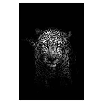 Animal Canvas Wall Art - Centennial 